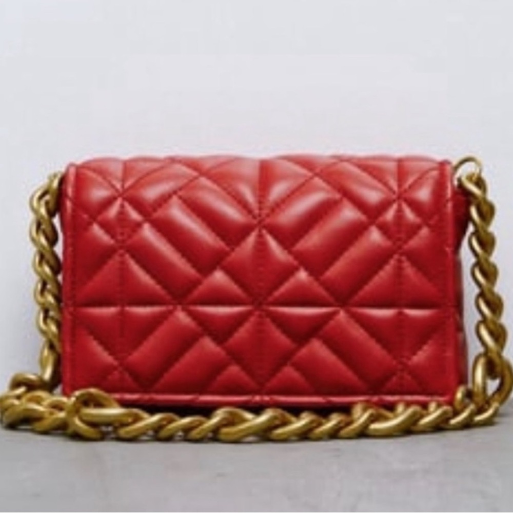 NWOT Zara Purse